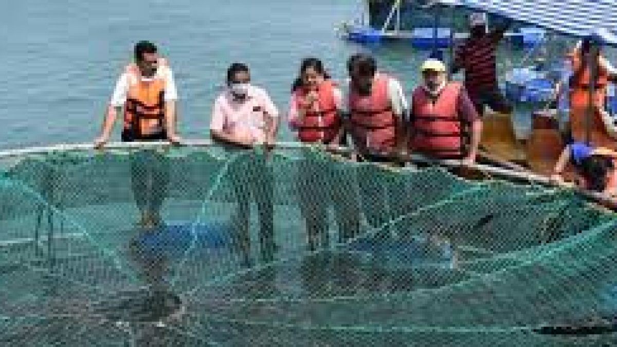 NIO scientists mapping genomes in the Indian Ocean