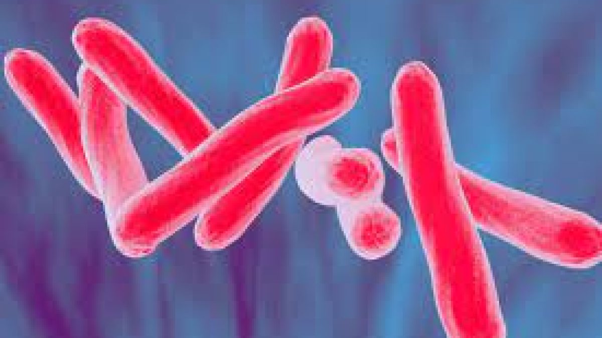 World Tuberculosis Day 2021