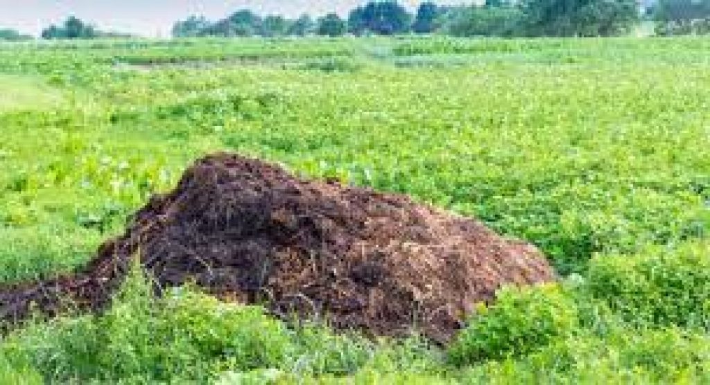 Andaman & Nicobar becomes first large territory to get organic certification