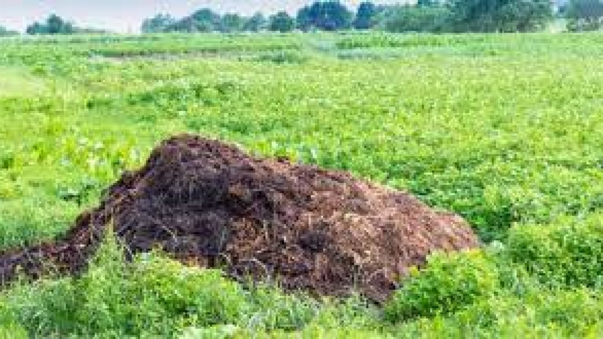 Andaman & Nicobar becomes first large territory to get organic certification