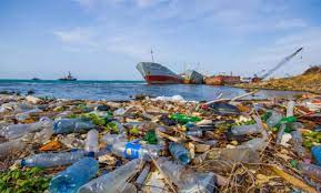 Cities combating plastic entering the marine environment