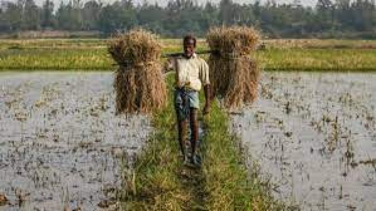 FCI needs to be saved to protect Farmers interests