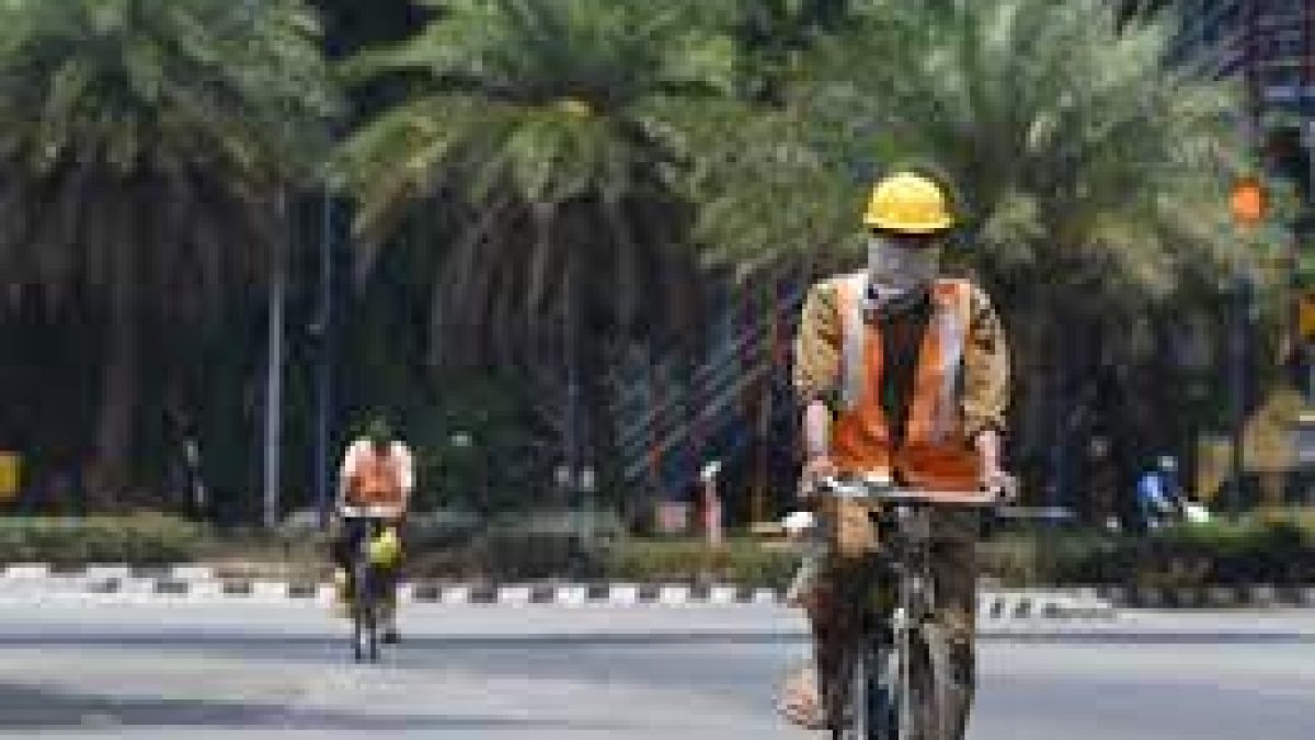 Government Panels to review Safety