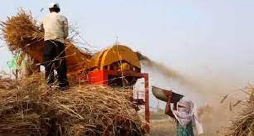 India recorded 30% increase in agricultural export last year