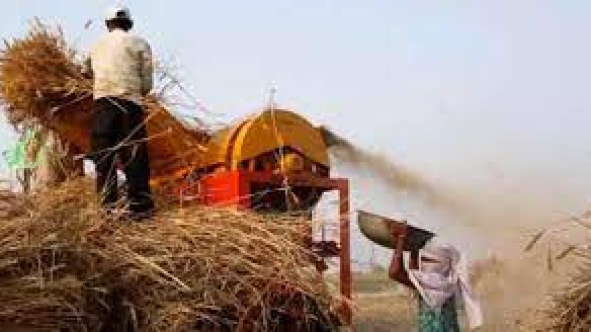 India recorded 30% increase in agricultural export last year