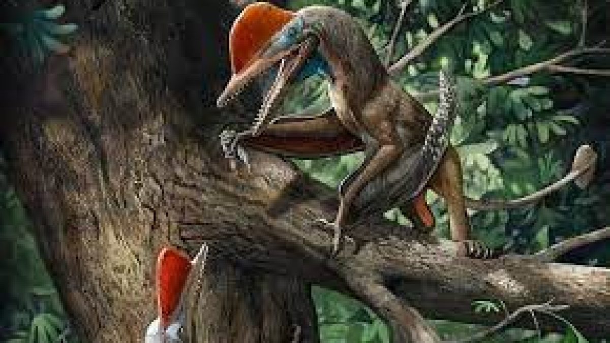 Monkeydactyl-the flying reptile with the ‘oldest opposable thumbs’