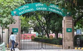 NGT task force to combat air pollution monitor remedial steps