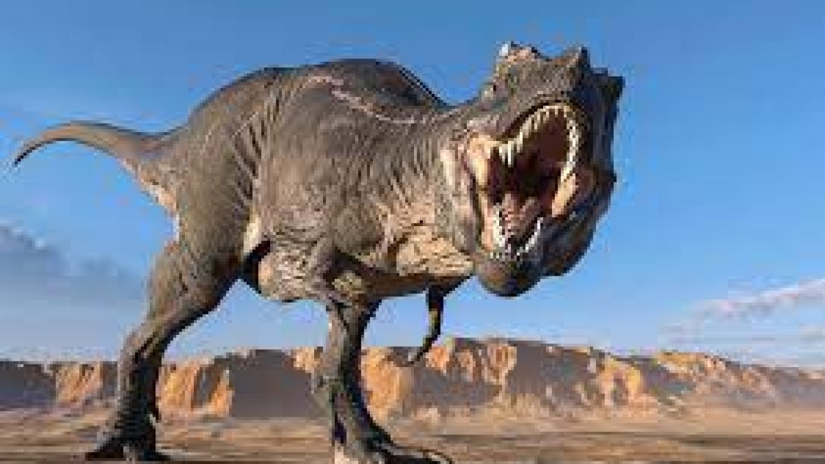 T Rex strolled at speeds close to that of humans