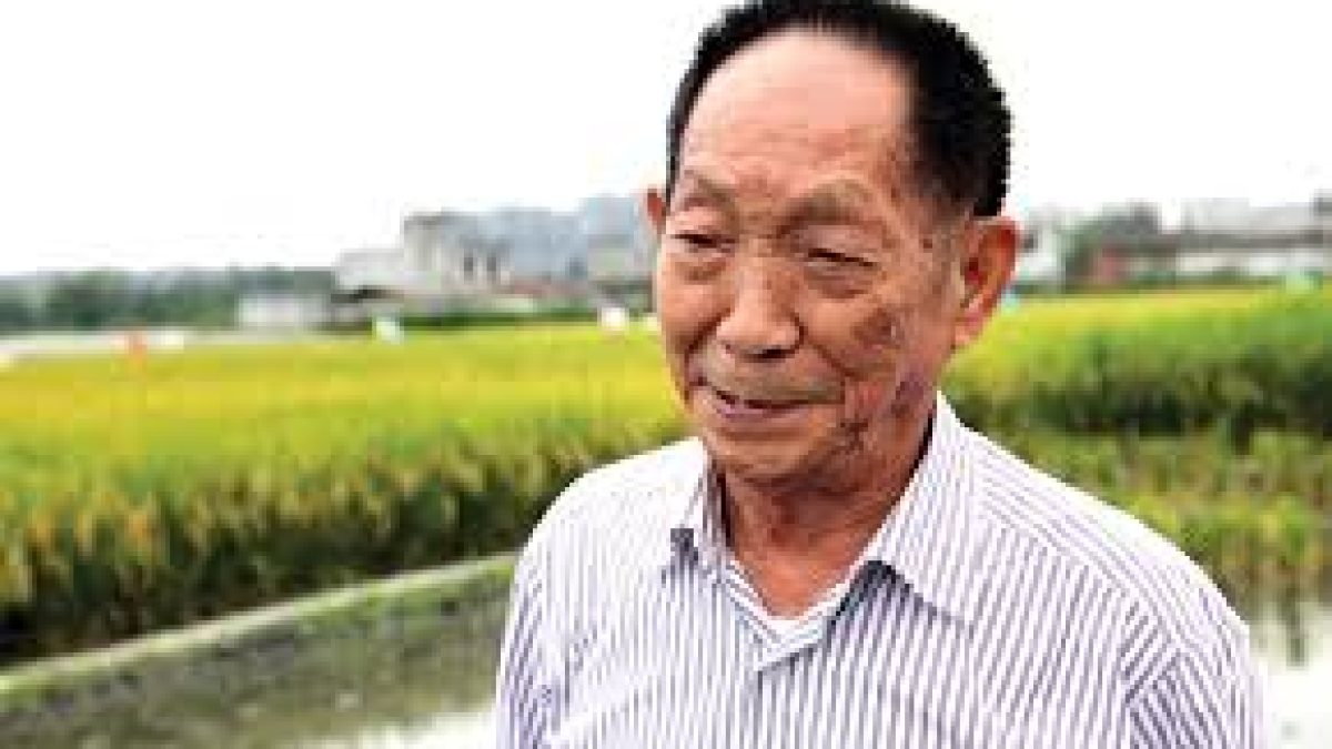 China’s ‘father of hybrid rice’ passed away