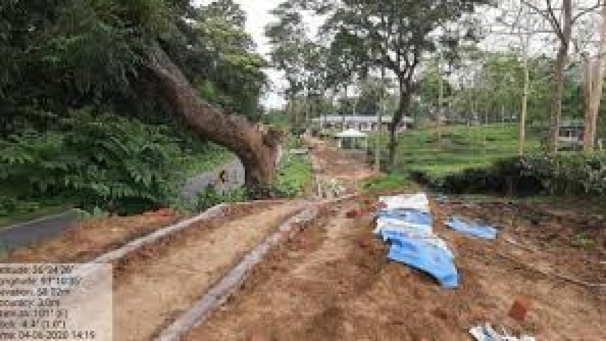 Construction activities on Kaziranga animal corridors