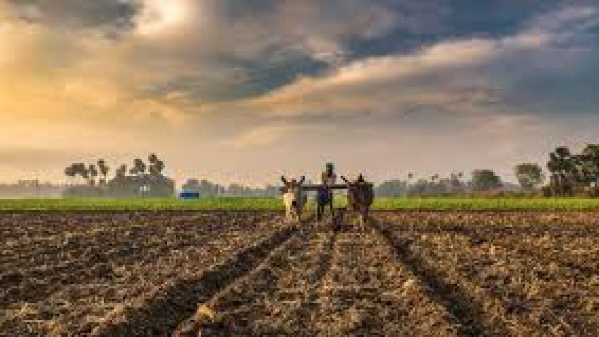 Government took Steps to ensure availability of fertilizers to farmers