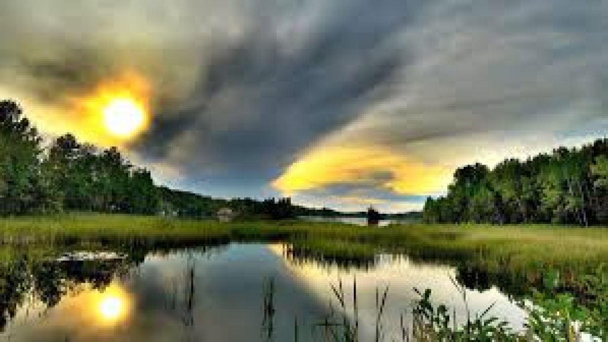 International Day for Biological Diversity 2021