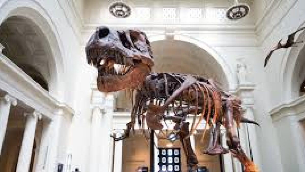 International Museum Day 2021