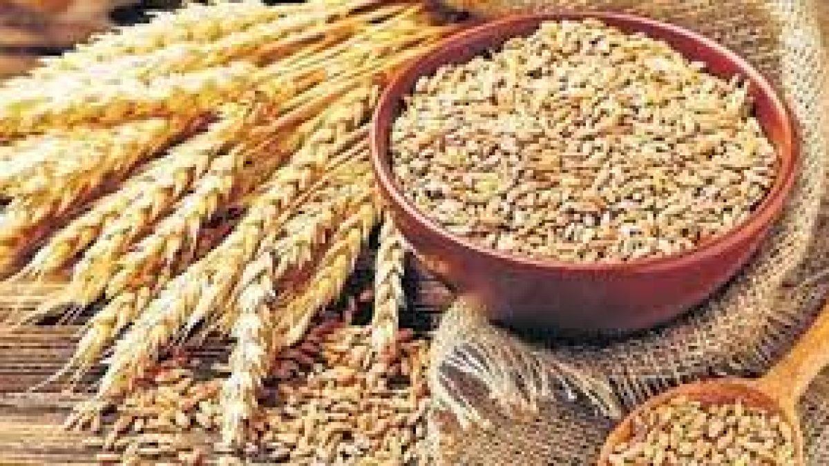 Lifting food grains from FCI for free distribution to poor under PMGKAY