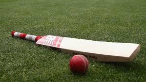 MCC turns down idea of bats made with bamboo instead of willow