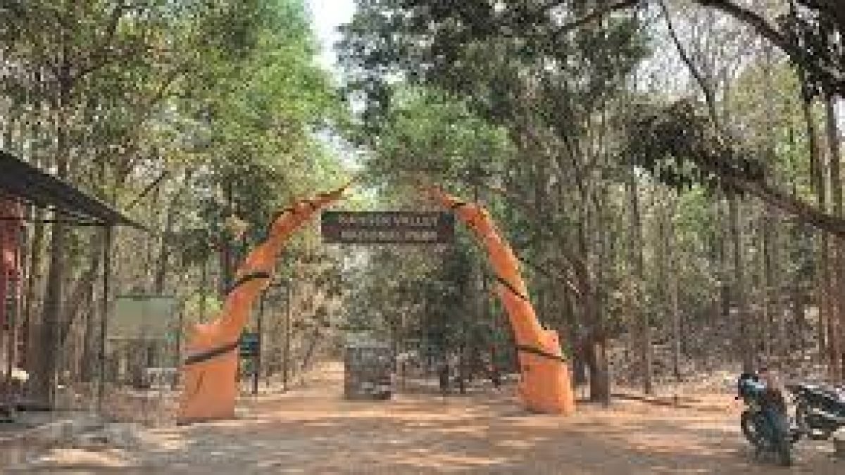 Significant discovery of new spider cricket from Chhattisgarh