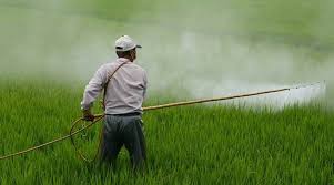 Subsidy on DAP fertiliser hiked by 140%