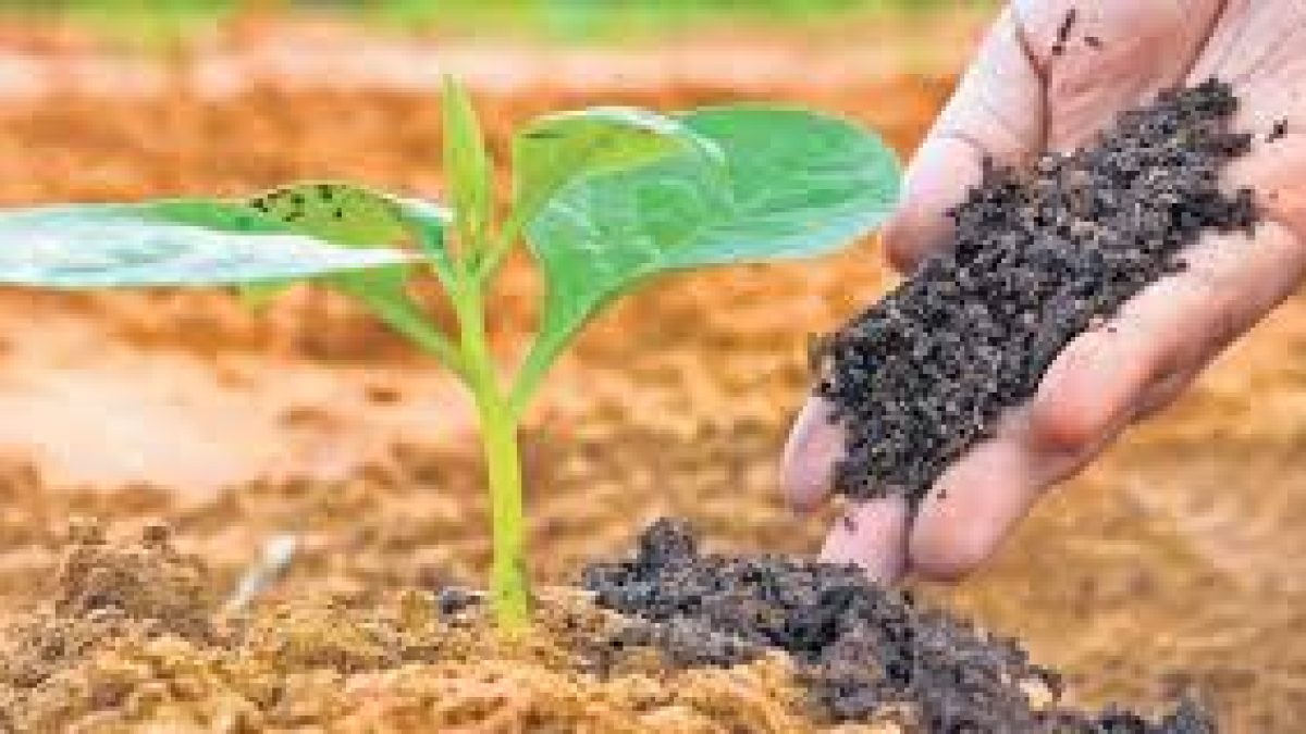 Delhi launched a 15-day “Van Mahotsav” Program to increase the green cover