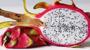 Exotic dragon fruit from Maharashtra exported to Dubai