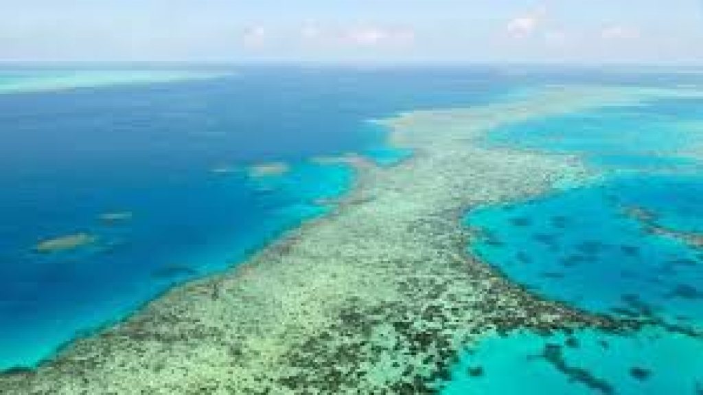 Great Barrier Reef should be added to UNESCO’s list of “in danger”
