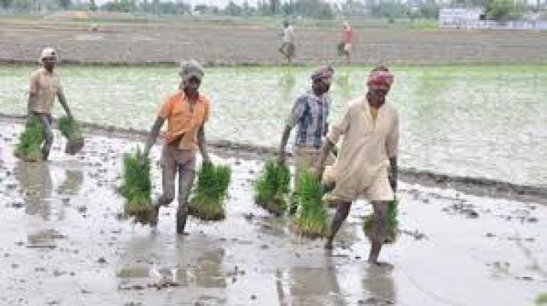 Gujarat launched the ‘Agricultural Diversification Scheme’, 2021