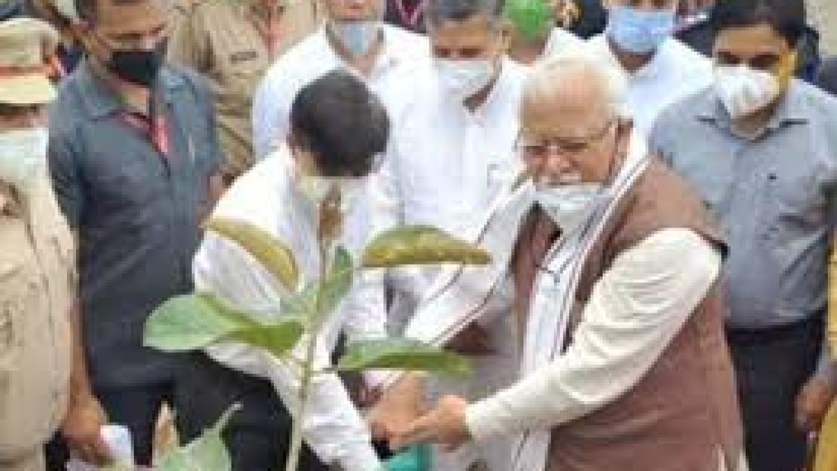 Haryana to create 80 acres of ‘Oxi-van’