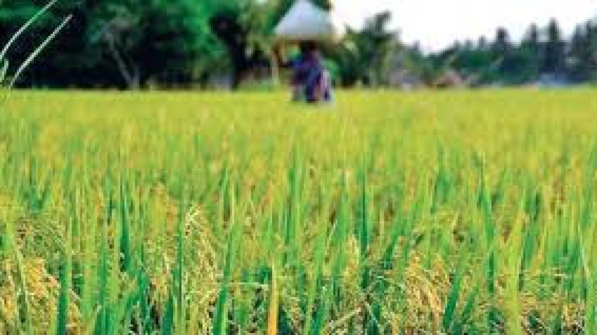 Increase in MSP for Kharif crops for marketing season 2020-21
