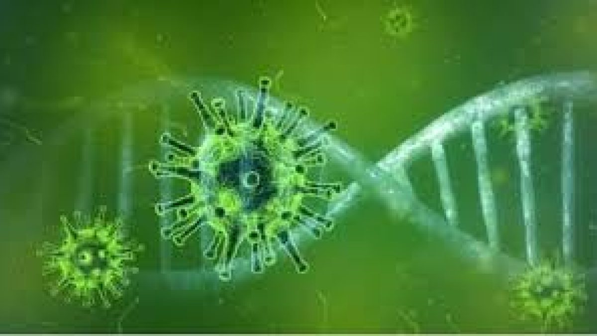 India first case of green fungus infection reported in Indore