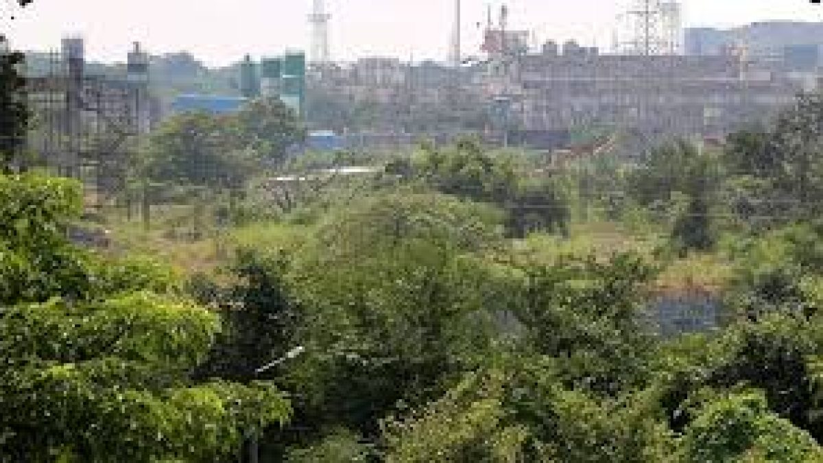 Maharashtra proposed amendments for protection of ‘heritage’ trees