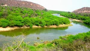 Ramgarh Vishdhari wildlife sanctuary to become the 4th Tiger reserve of Rajasthan