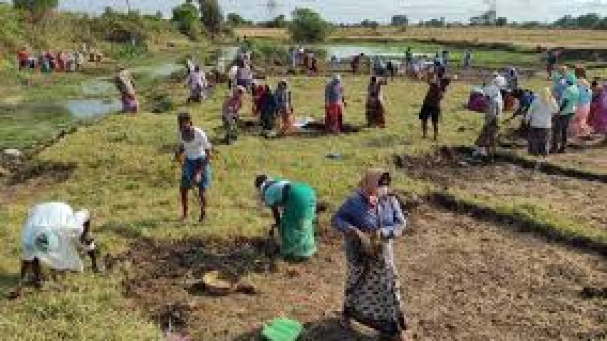 Split rural jobs scheme wages into separate categories for SCs, STs