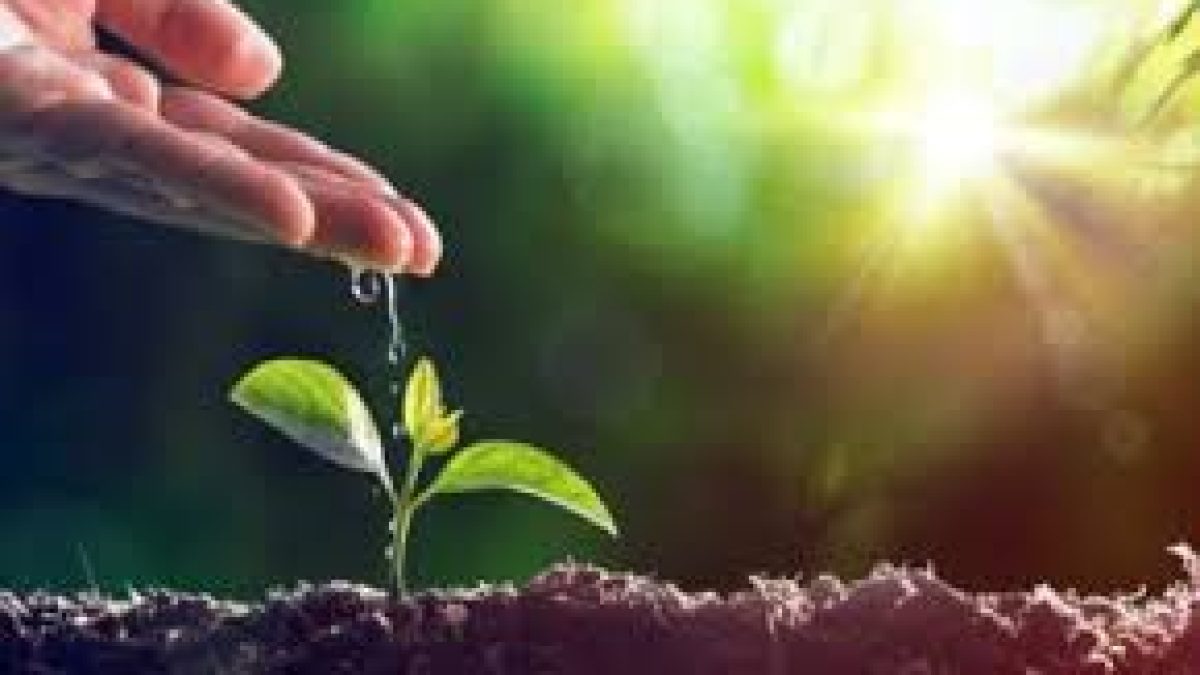 WHO joins the UN Decade on Ecosystem Restoration