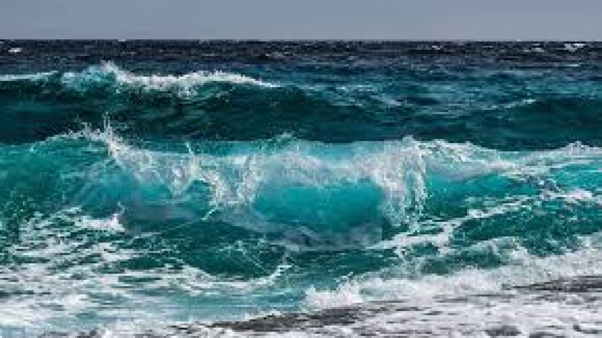 World Oceans Day 2021