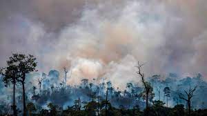 Amazon forests are no longer acting as a carbon sink