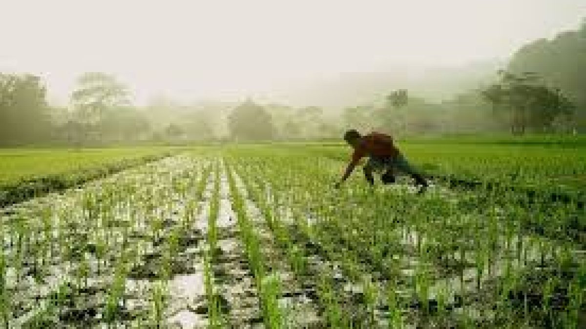 Farmers Producer Organizations to be formed across the country
