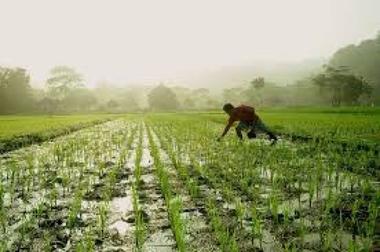 Farmers Producer Organizations to be formed across the country