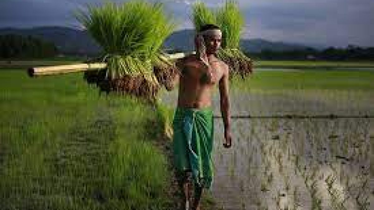 Indian farmers meet experts to learn ways to boost agri export