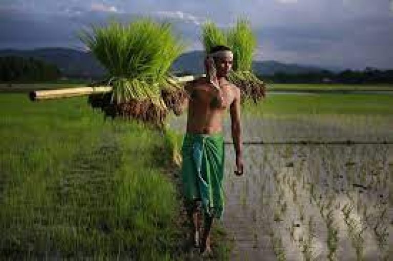 Indian farmers meet experts to learn ways to boost agri export
