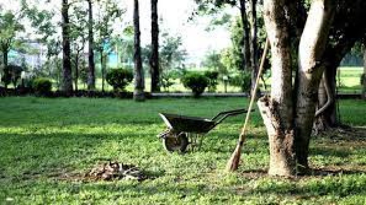 India’s first Cryptogamic Garden has been inaugurated in Uttarakhand