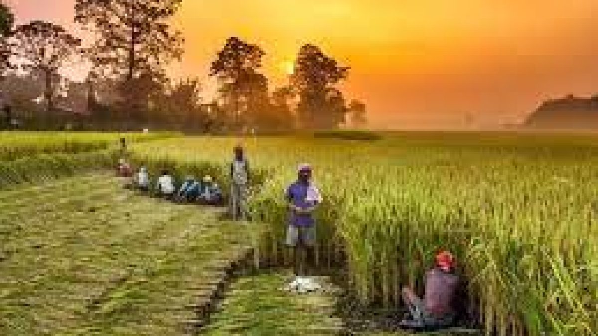 Kisan Sarathi launched to facilitate farmers to get ‘right information at right time’