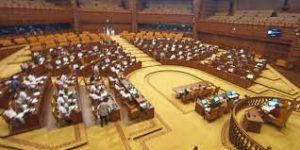Lawmakers cannot indulge in criminal acts on the Parliament or Assembly floors