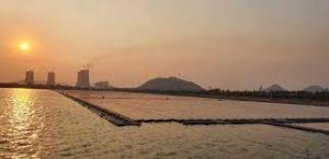 NTPC to set up India’s single largest solar park at Rann of Kutch