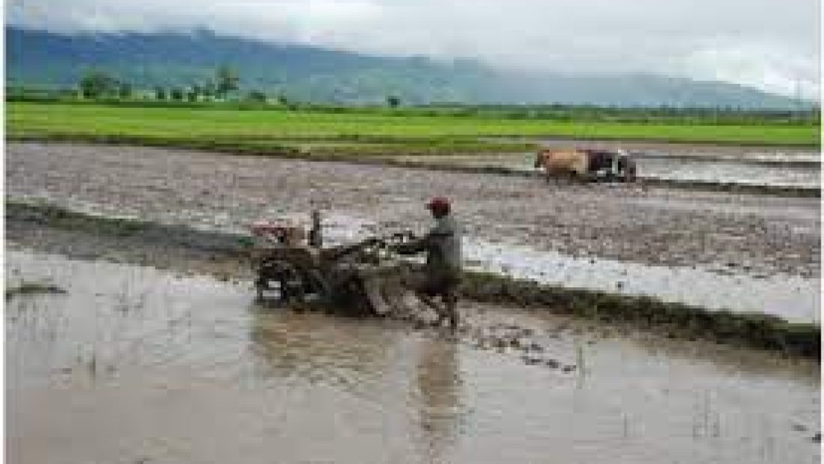 National Farmers Welfare Program Implementation Committee office