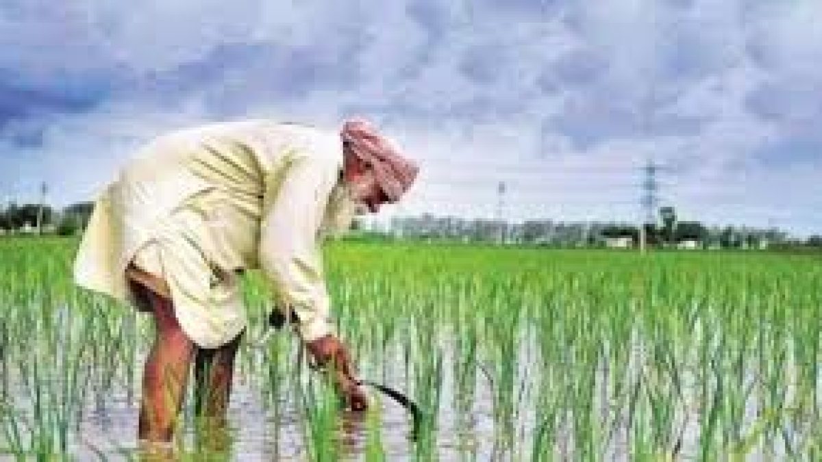 Paramparagat Krishi Vikas Yojana (PKVY)