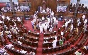 Rajya Sabha passed Coconut Development Board (Amendment) Bill, 2021