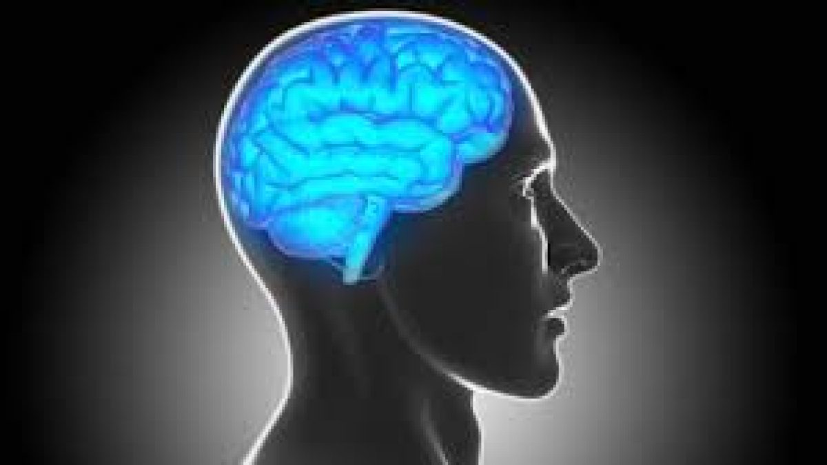 World Brain Day 2021