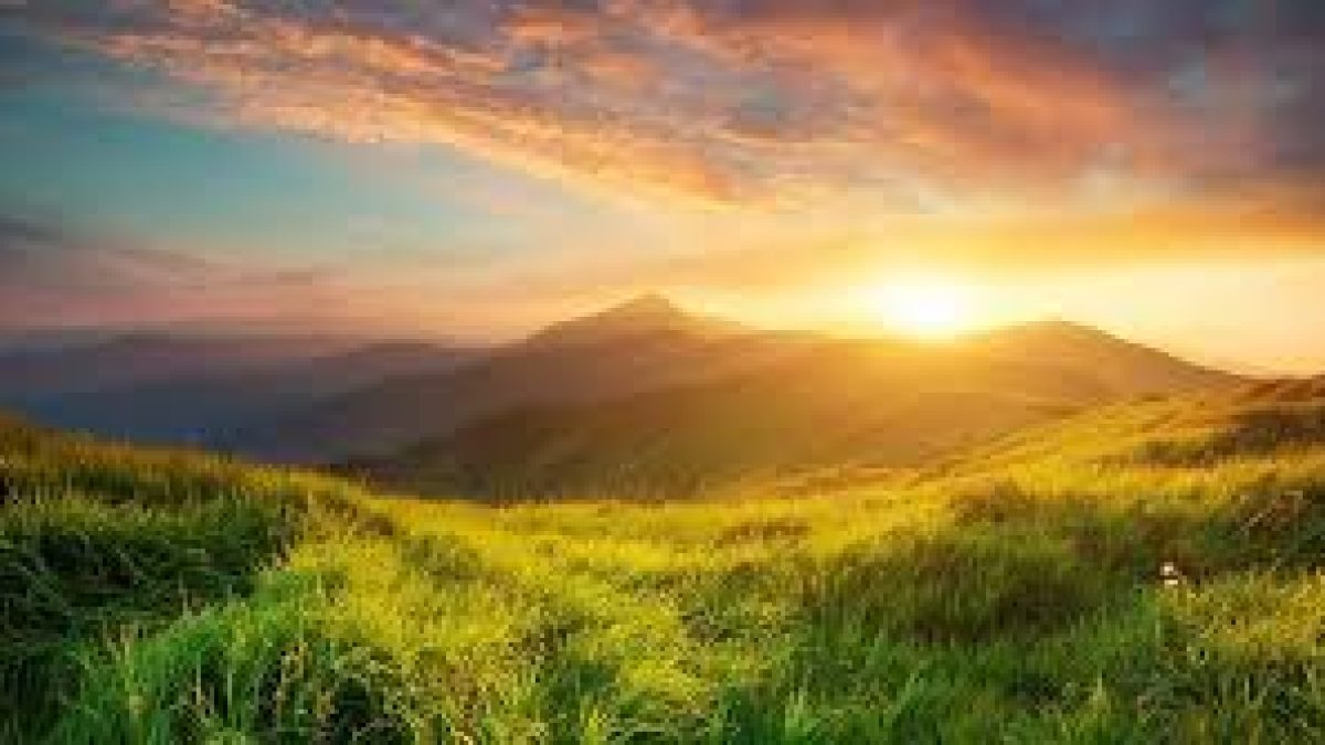 World Nature Conservation Day 2021