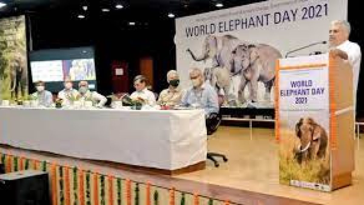All India Elephant and Tiger population estimation exercise
