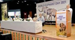 All India Elephant and Tiger population estimation exercise