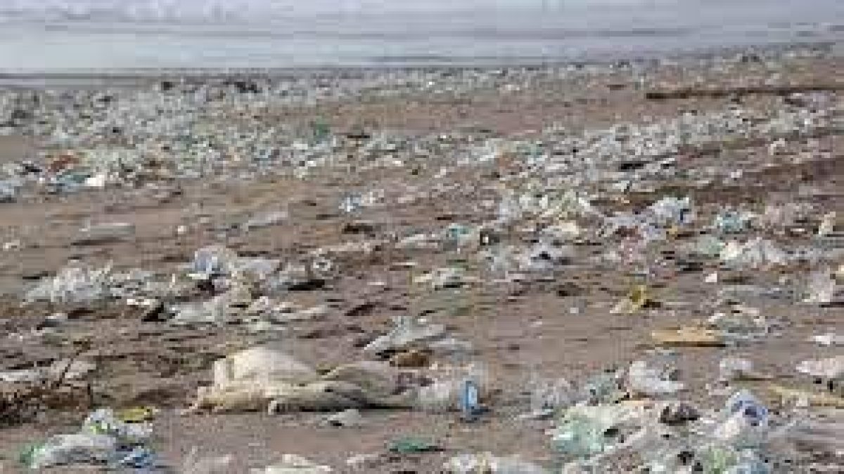 Govt to ban manufacture, sale and use of single-use plastic items